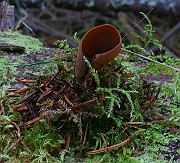 IMG_6168