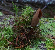 IMG_6169