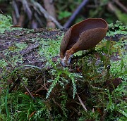 IMG_6170