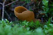 IMG_9327