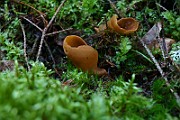 IMG_9329