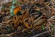 IMG_0956