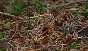 IMG_0957