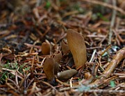 IMG_0960