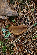 IMG_0962