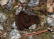 IMG_0906