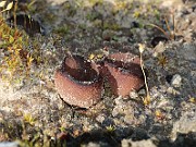 IMG_1620