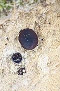 IMG_2069