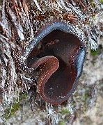 IMG_2071