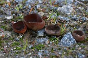 IMG_5966