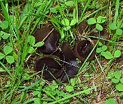 IMG_9463