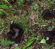 IMG_9464