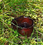 IMG_9470