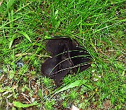 IMG_9474