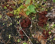 IMG_0816