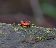 IMG_1088