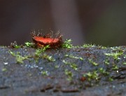IMG_1089