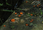 IMG_9953