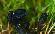 IMG_1804