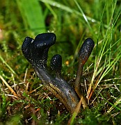 IMG_1806