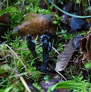 IMG_1812