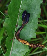 IMG_1910