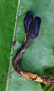 IMG_1912