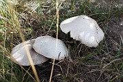 DSCN0221