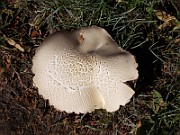 DSCN0227