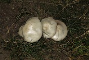 IMG_0125