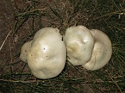 IMG_0127