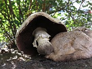 IMG_0134