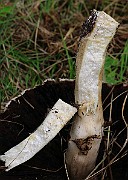 IMG_0737