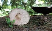 IMG_1840