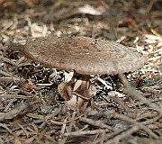 IMG_1843