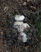 IMG_1877