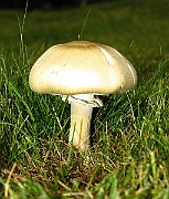 IMG_0089