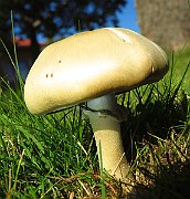 IMG_0180