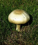 IMG_0590
