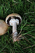 IMG_1022