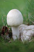 IMG_1037