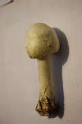 IMG_1063