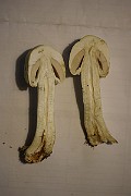 IMG_1067
