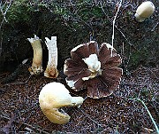 IMG_2372