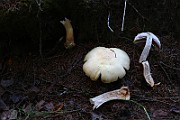 IMG_2373