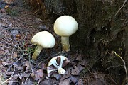 IMG_2377