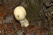 IMG_9164