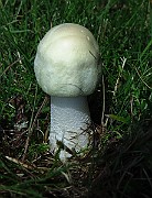 IMG_9413