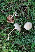 IMG_2186