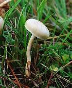 IMG_2188